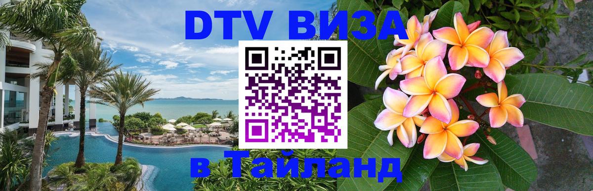 Оформление DTV визы под ключ: стоимость и тарифы, только загранпаспорт - Сыктывкар 